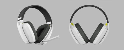 BINNUNE BW06 Bluetooth Headsets Gamer with Mic for PS5 PS4 PC Mac Playstation Wireless 2.4GHz Gaming Headphone with Microphone